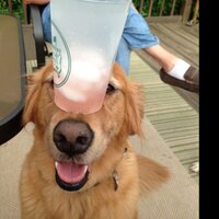 Django Walker (@djangowalker) 's Twitter Profile