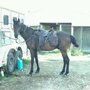 Joyce Barber - @joycehep11 - Twitter