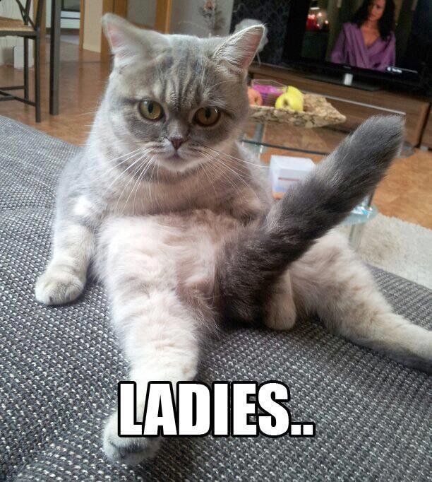 Better 2 b pissed off than pissed on, unless ur n2 that kinda thing! ;)