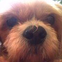 Ginger Jenkins - @Sweetpea3370 - Twitter