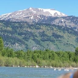 scoutfennell's profile picture. love the outdoors and wildlife, camping, backpacking, fishing, steward of the environment and preserving it for our future