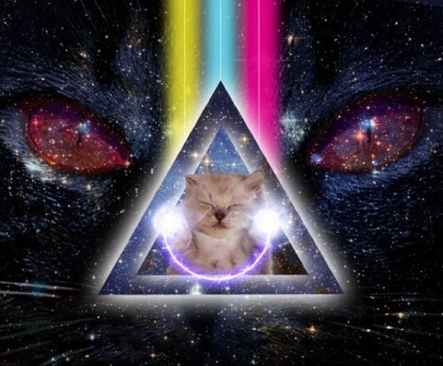 This is a fake account. Please follow the real one: @TheSpaceCats