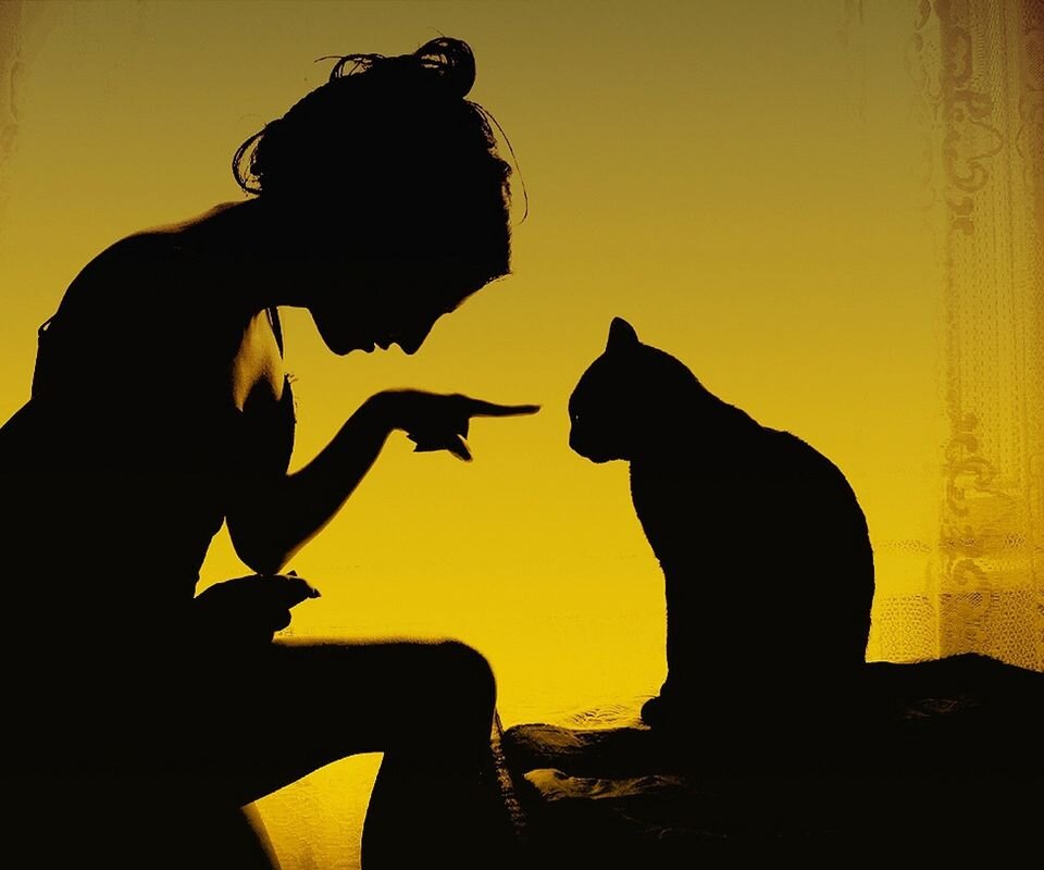 A moment like this...