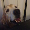 Ray Balser - @RayBalser - Twitter