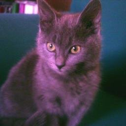 IriniMicheli's profile picture. i m ok