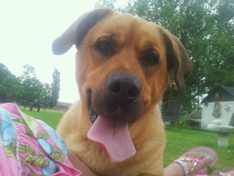 ter_rachel's profile picture. Twitter ♥