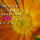 名無しのごんべ (@0917Ez) Twitter