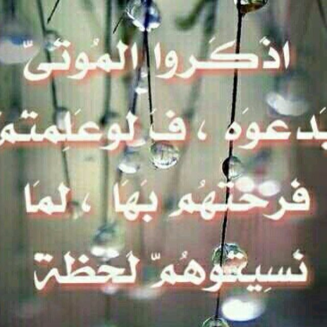 هذا الحساب احتسبه صدقه لوالديّ ولاموات المسلمين..وانتم ايضا احتسبوا الاجر بالاضافه والرتويت فيصل الاجر لميتٍ لكم بفضل الله ورحمته..رتويت لتغريداتكم الخَيّره