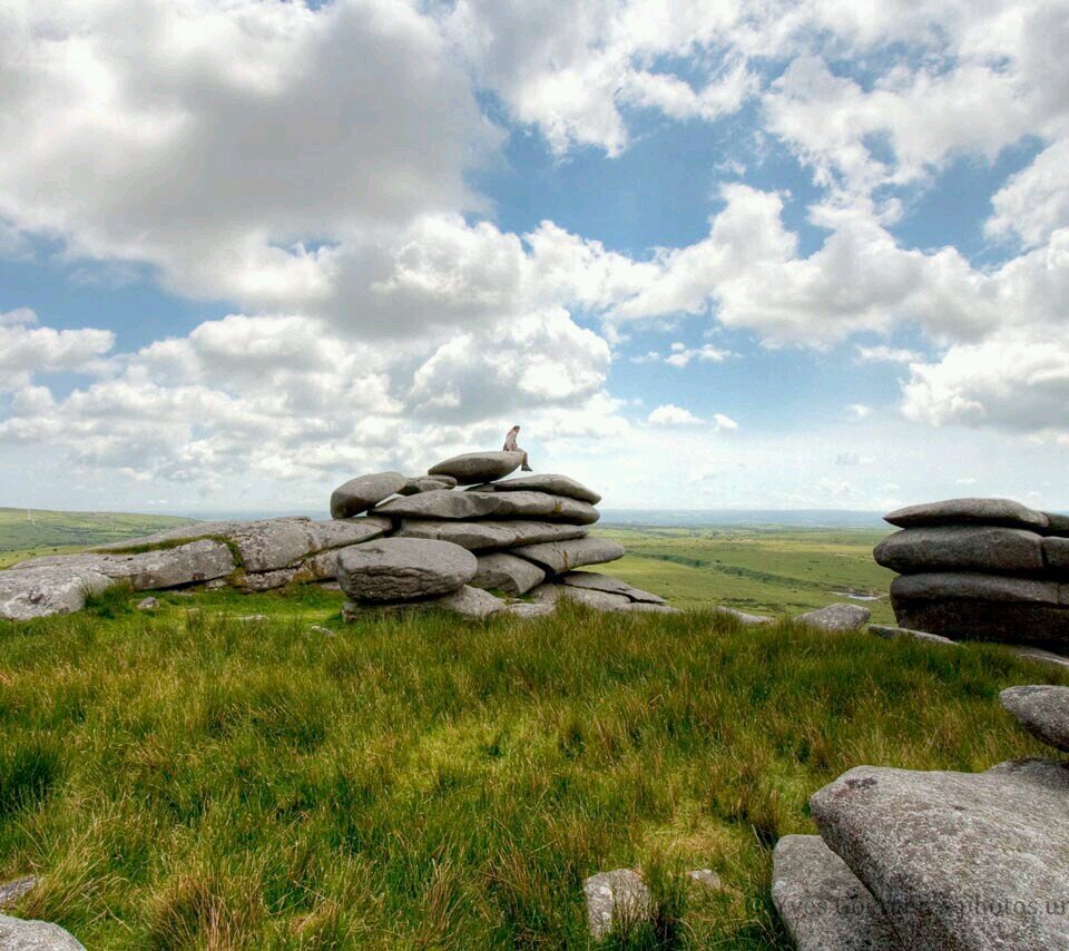 actwisez's profile picture. 