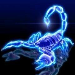 hammstaya's profile picture. 