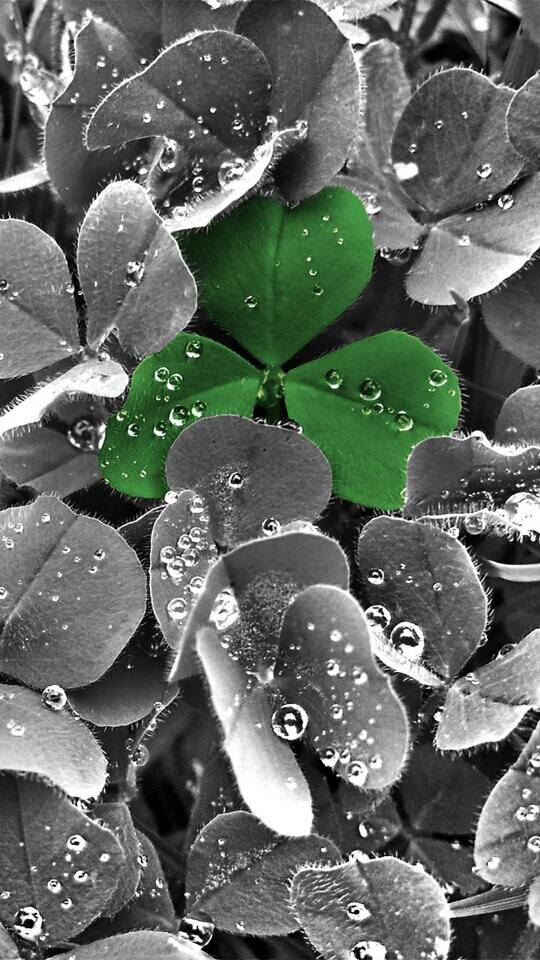 3rdvision2013's profile picture. 3RD Vision is defined as the tendency to generate or recognize ideas, alternatives, or possibilities that may be useful in solving problems