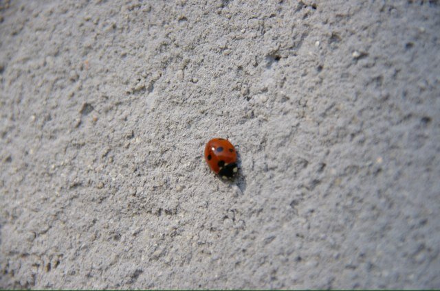 Vakwerk met oog voor detail