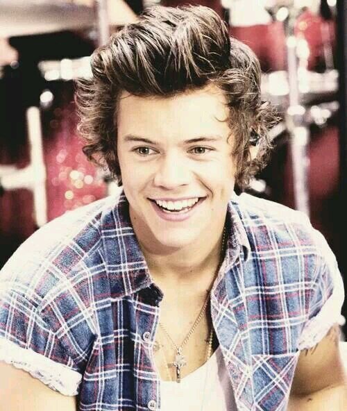 Hi I'm a HUGEEEEEEEEE fan of One Direction and I hope some day I will meet them:)