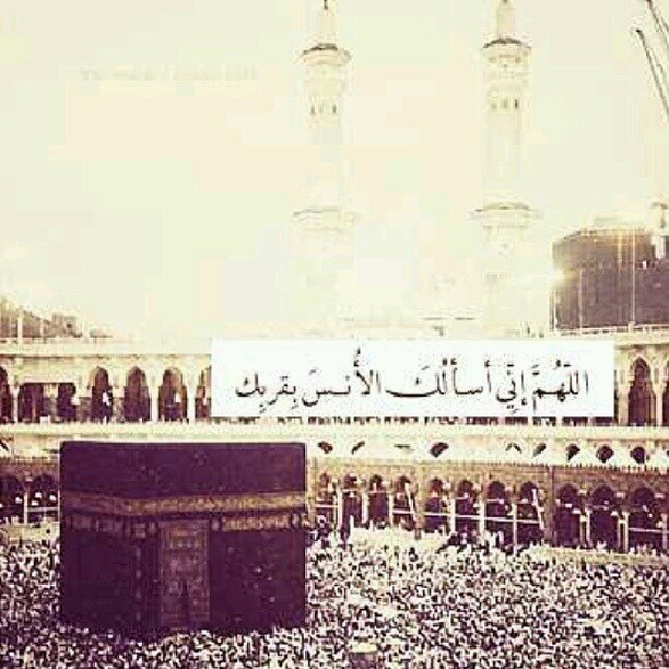 لان الحب دعاء س ٲبقى ادعي لكِ كل مالامس جبيني الارض