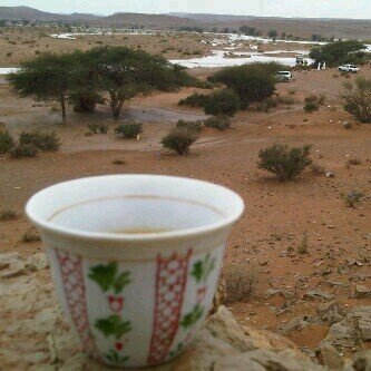 hamd0200's profile picture. 