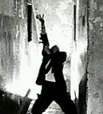 לא אוהב את שרוליק מאז 2001