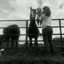 derrick willis - @WillisDwillis83 - Twitter