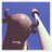 sourcemonitor's profile image