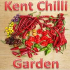 Grower and supplier of chilli plants, seeds, and chilli products.