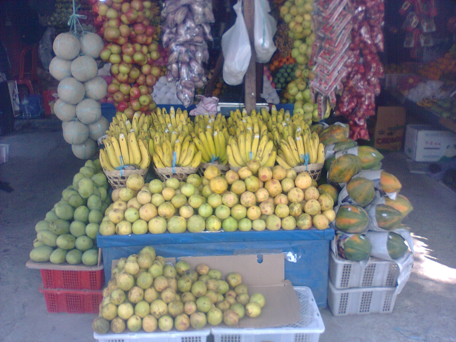 Brontal Rifqiadinugroho Twitter twitter