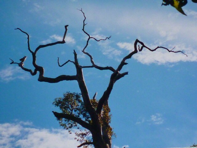 Journey words: beloved, irrevocable, indwelling. 
                Journey places: S. London, Hereford, Wales.