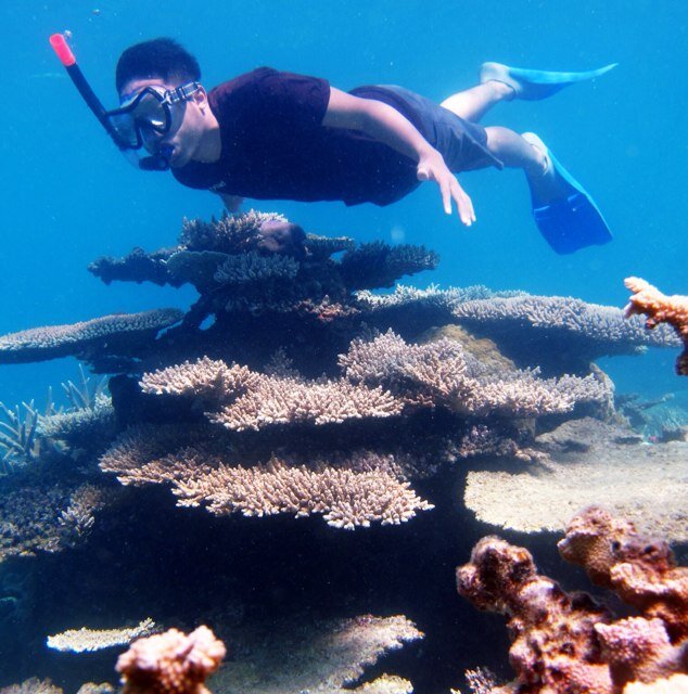 lukman_ikhwan's profile picture. whatever it takes