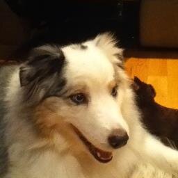 VegasDave89's profile picture. 