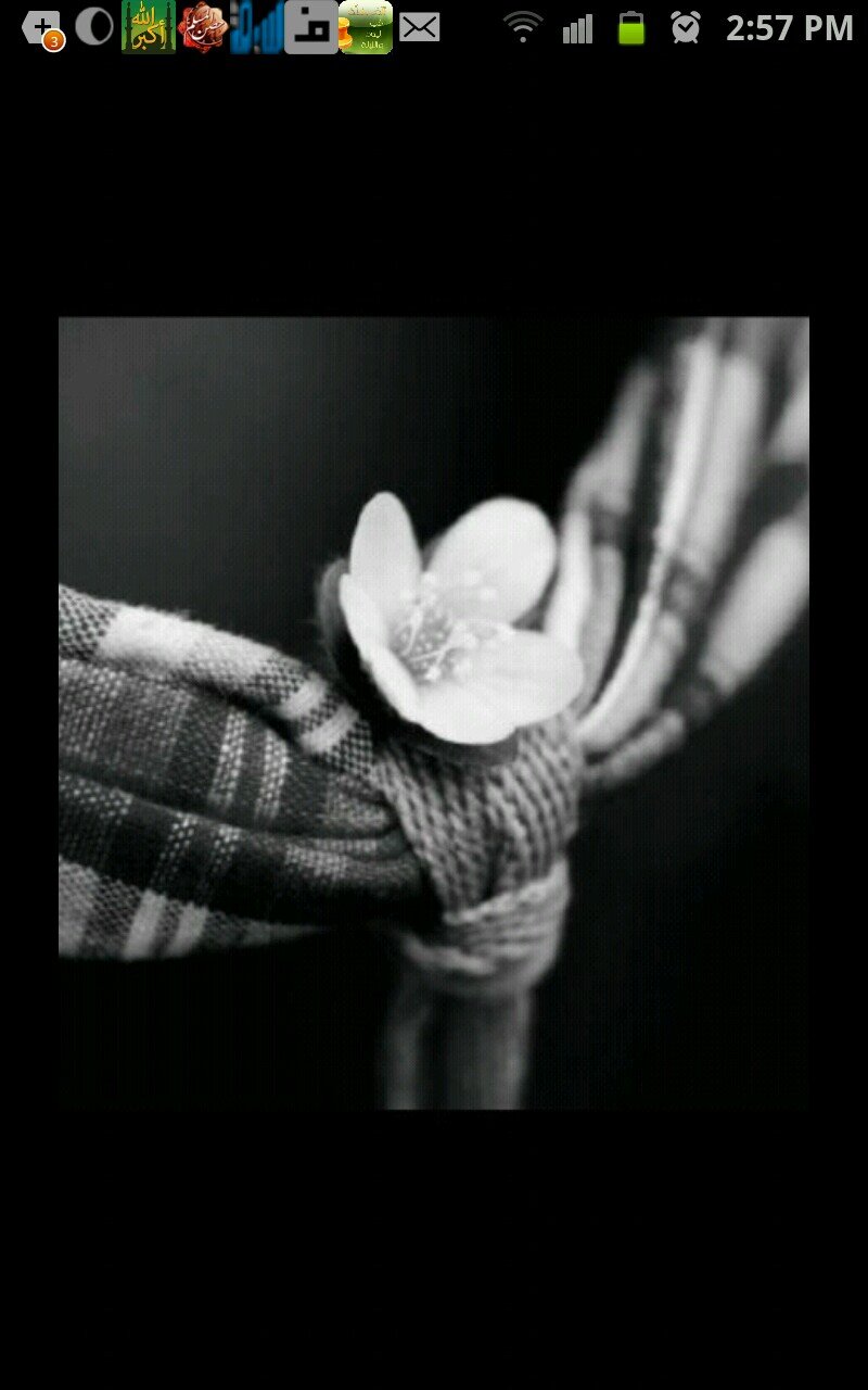 Hi .. i'm sho ♡ i love food ♡and movi very much .. my from is Saudi Arebia ` and i need follow .. and thnxx !