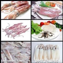 Thủy Hải Sản Hải Thành chuyên cung cấp Sỉ & Lẻ Các mặt hàng  Hải Sản Tươi Khô. ( 0947.74.1988 - Mrs.Kim Cương )