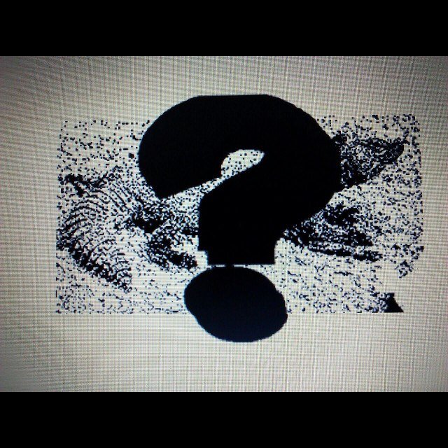 We are a new reptile company! If you have any questions just measage us!