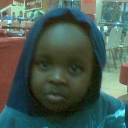 IT Consultant, Data Security & Surveillance.