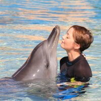 Monique Ackermann (@moniqueack) 's Twitter Profile