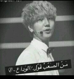 على سبيل السعاده : هُناك أروأح لم اندم يوم على معرفتها ˛˓৯♡ٰٓ
