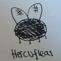 The adventures of Flythagoras, Jason and Hercufleas