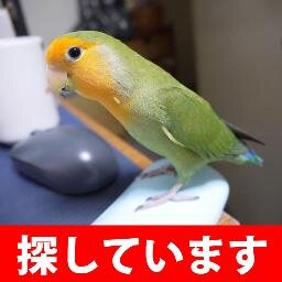 みく Mikushima Twitter