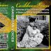 Caribbean Voices (@caribvoices) Twitter profile photo