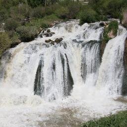 memleket delisi