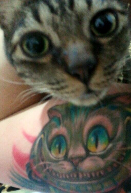 MinBib's profile picture. 挖系招財貓