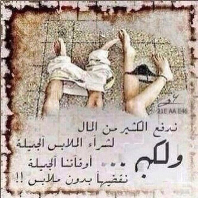ثلاثيني ++ Profile