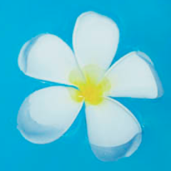 rikkodesunoyo's profile picture. TOEICやってます