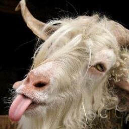 GoatsPublicHous's profile picture. Nelson's first Gastro Pub -- deep in the Heart of the Kootenays.