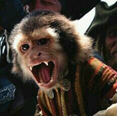 Mono inmortal e inseparable amigo de Barbossa. Jodiendo a Jack Sparrow desde tiempos inmemoriales. Dilo... Maldito mono