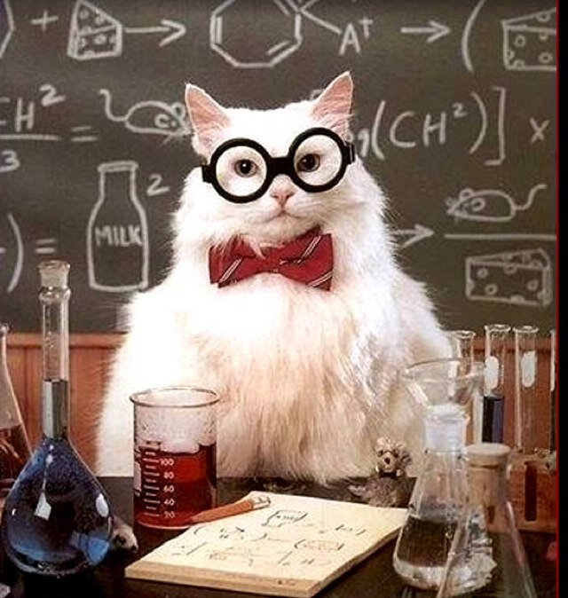 Curiosidades e Información sobre Ciencia para tod@s. 
Twitter de la clase de FÍSICA Y QUÍMICA 3º y 4°ESO. Colegio Padre Manjón (Granada)