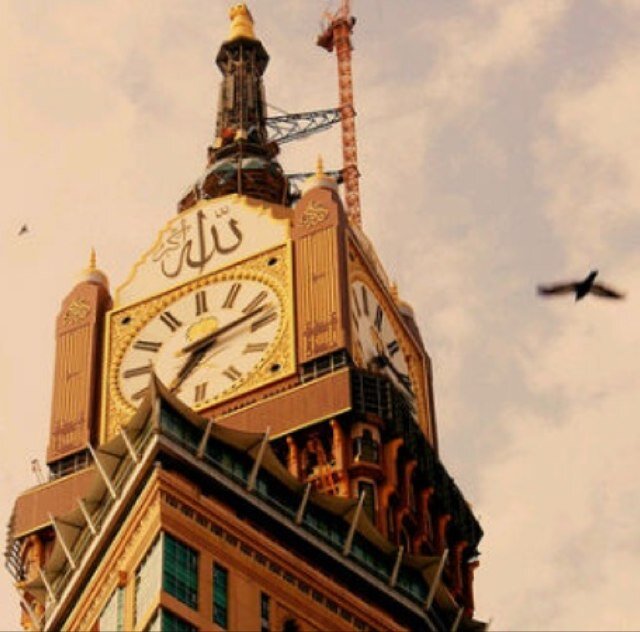 إذا كان التأمل هوايه فتلك هي هوايتي ..
انظر للحياه ليس من ثقب الباب بل أفتح الباب و اخرج للنزهه !