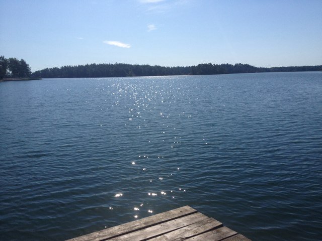 BooBoo's profile picture. 