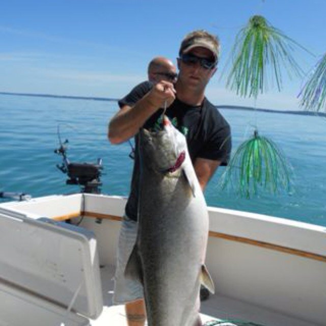 TwistedMetal42's profile picture. 