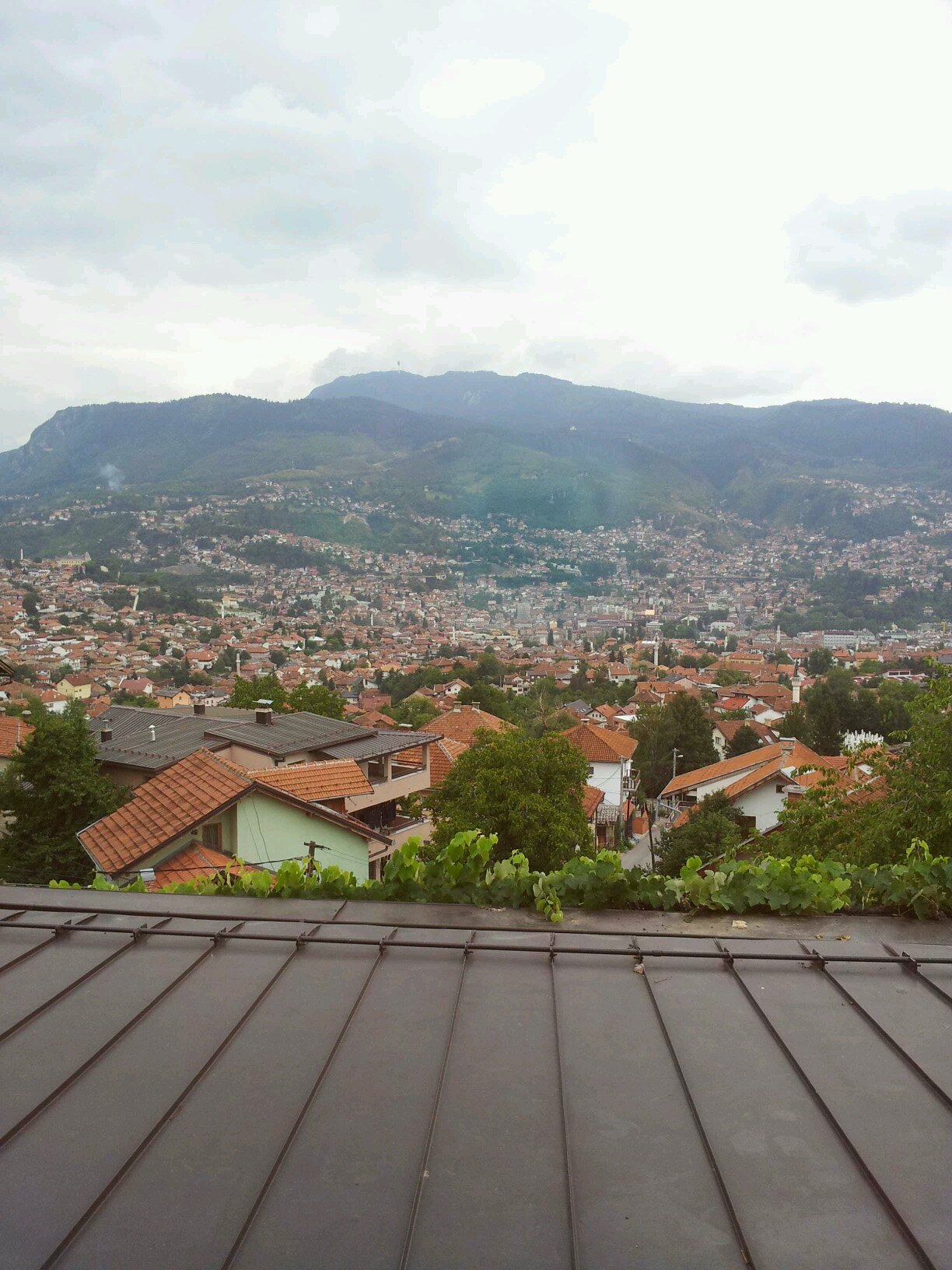 arbysh2's profile picture. ‏‏.‏‏‏‏‏‏‏‏‏‏‏‏رب ارحمهما كما ربياني صغيرا ..مهتم ومراقب. حقوقي. تبي تموت وامورك ما تسنعت. اقنع. يعينك ربك. علم اجتماع  arbysh@hotmail.com