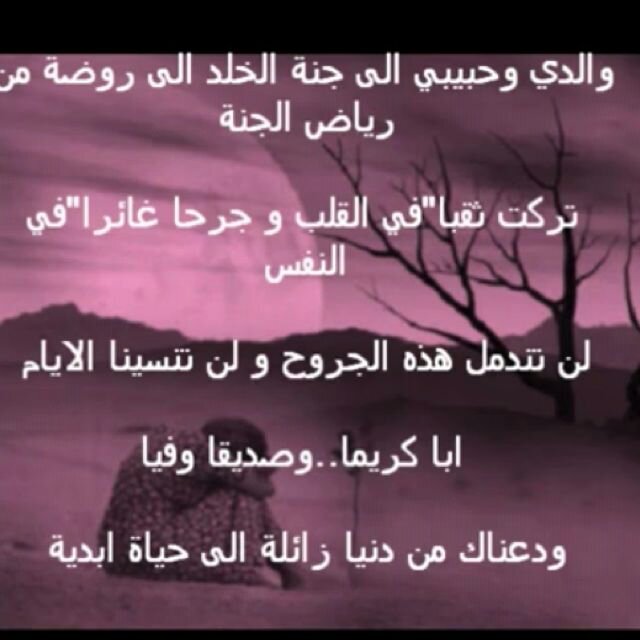 Hoda3331 Profile Picture