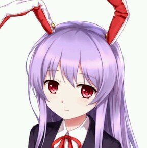music | ICT | cosplayer | bunnies