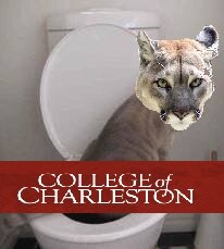 CofCPoops's profile picture. When you're on campus finding a comfortable place to poop is important. We will take care of that for you.